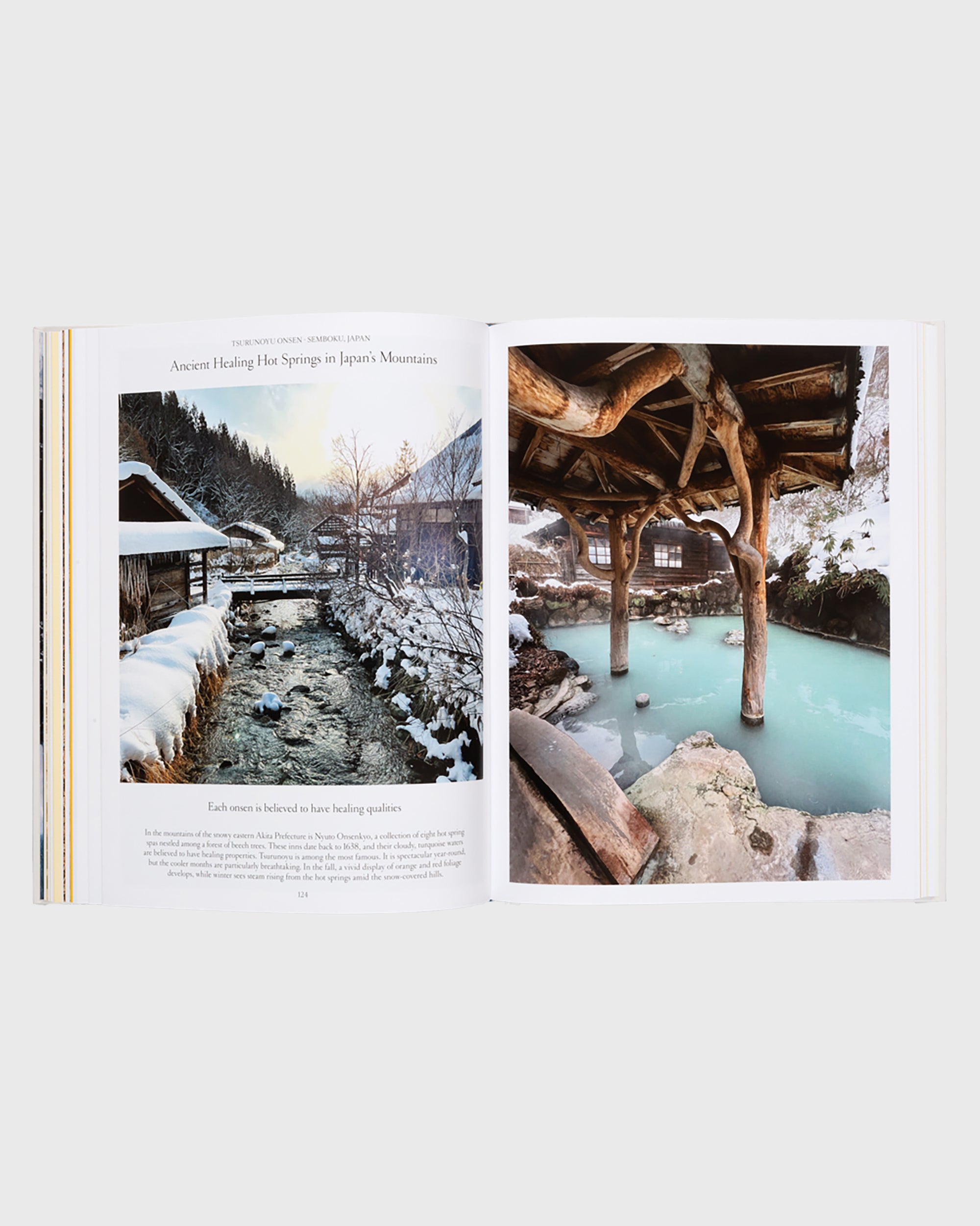 The Nature of Swimming - Flatlay