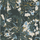 Frost Dark Fern