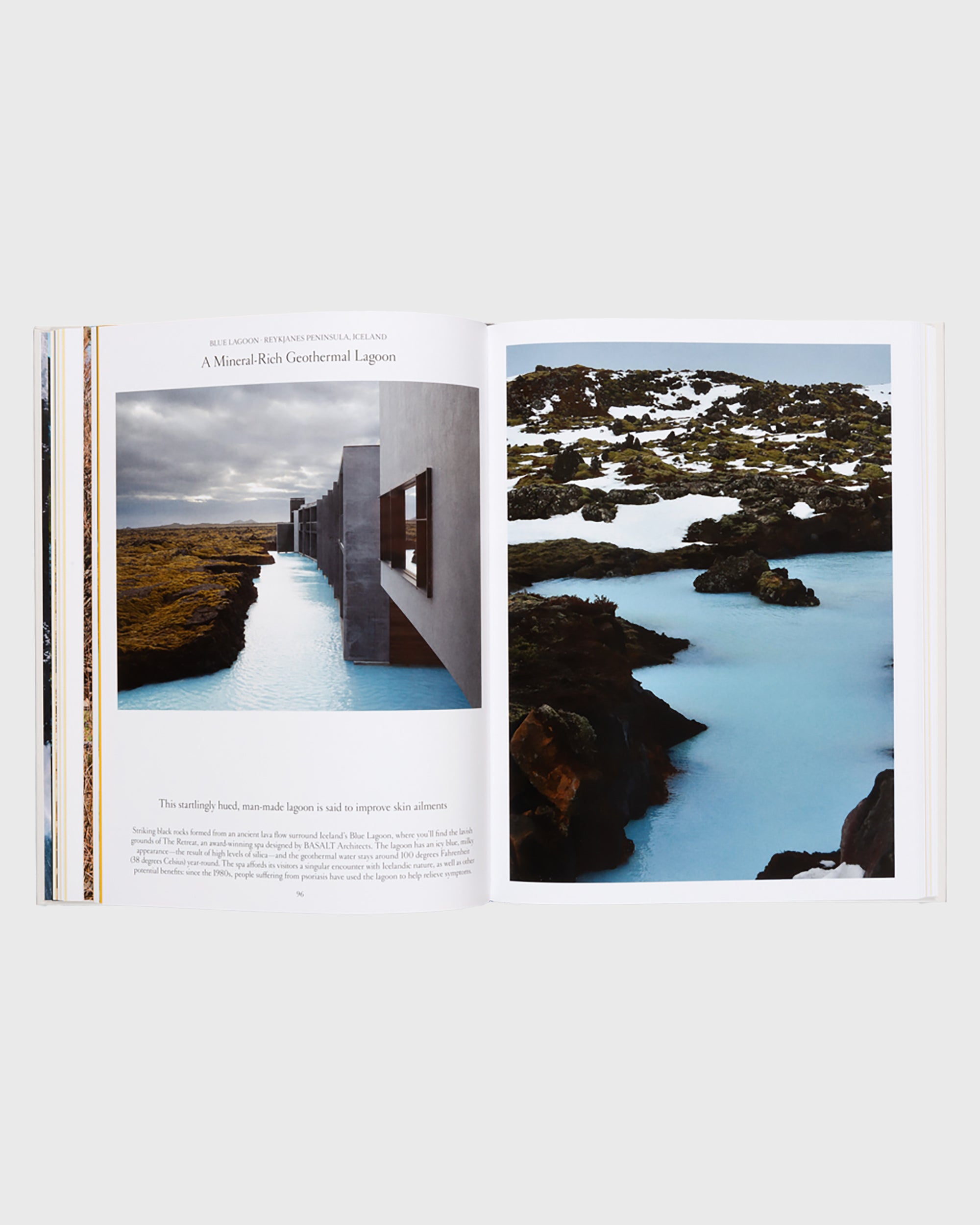 The Nature of Swimming - Flatlay